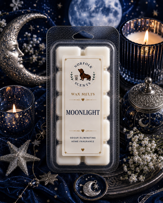 Moonlight Wax Melt
