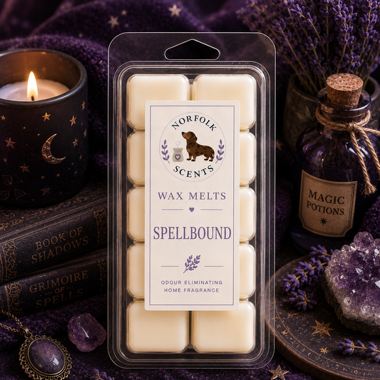 Spellbound Wax Melt